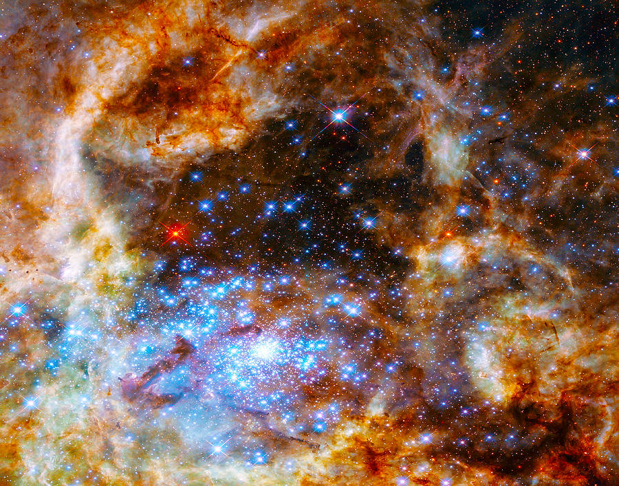 Tarantula Nebula by Dave Byrne Tarantula Nebula by Dave Byrne