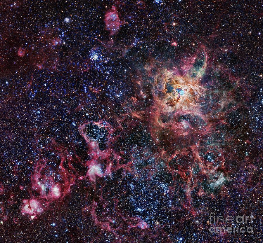 Tarantula Nebula #1 Photograph by Robert Gendler/science Photo Library