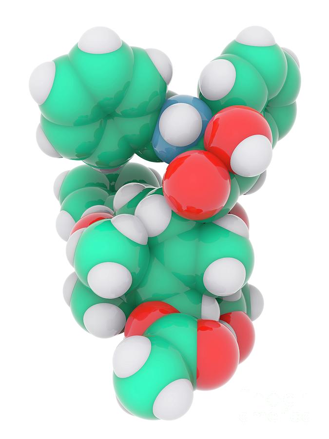 Taxol Molecule #1 Photograph by Ramon Andrade 3dciencia/science Photo Library