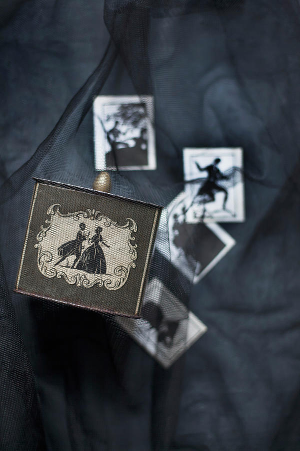 Tea Caddy With Silhouette Ornamentation Under Tulle On Crumpled Black Fabric #1 Photograph by Alicja Koll