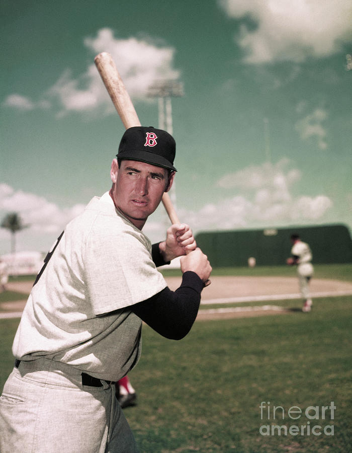 Ted Williams Of Boston Red Sox by Bettmann
