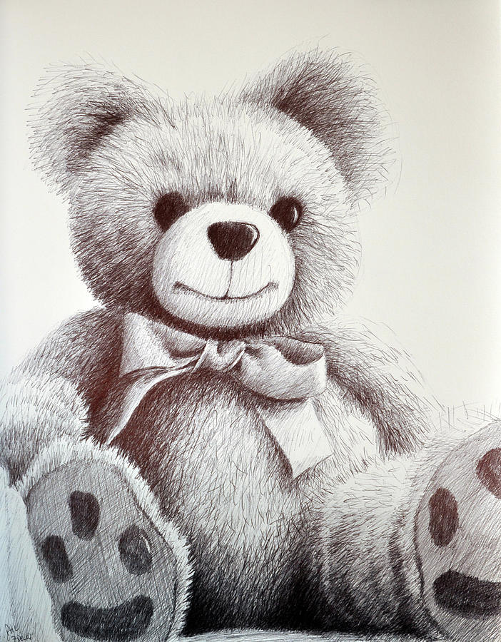 Teddy Drawing by Rick Hansen