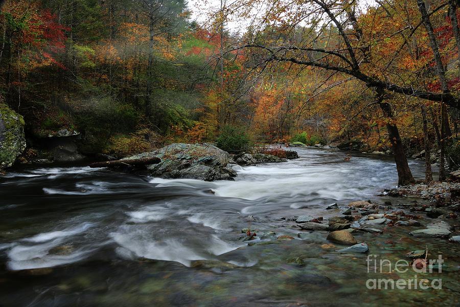 Tellico River Tennessee 2 by Rick Lipscomb Tellico River Tennessee 2 by Rick Lipscomb