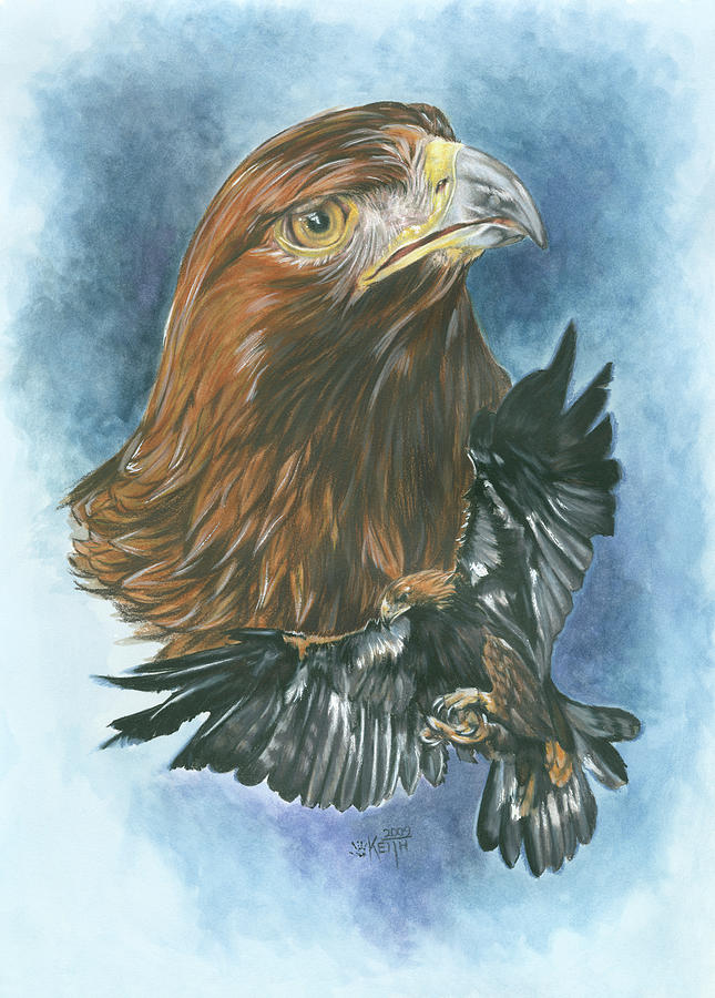 Golden Eagle In Flight Painting - Tenacity #1 by Barbara Keith
