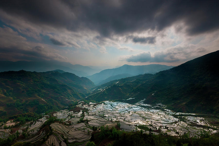 Terraced Rice Paddy Fields, Yuanyang #1 Photograph by Mint Images/ Art Wolfe