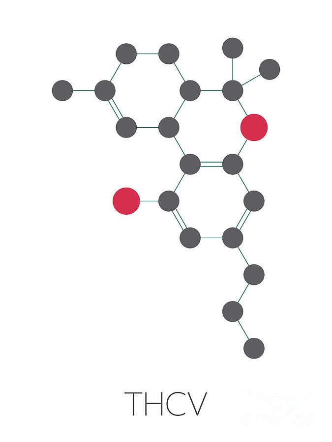 Tetrahydrocannabivarin Cannabinoid Molecule #1 By Molekuul/science ...