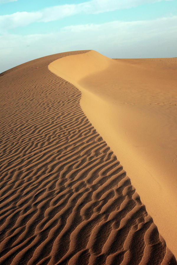 Thar Desert, Jaisalmer #1 Photograph by Milind Torney