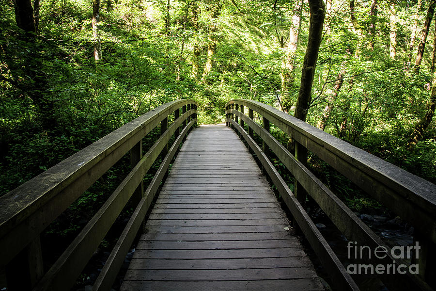 The Adventure Awaits Photograph by Deborah Klubertanz Fine Art America