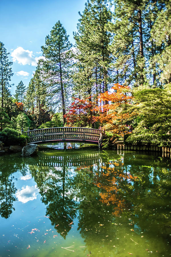 The beautiful Japanese Garden at Manito Park in Spokane, Washing #1 Photograph by Alex Grichenko