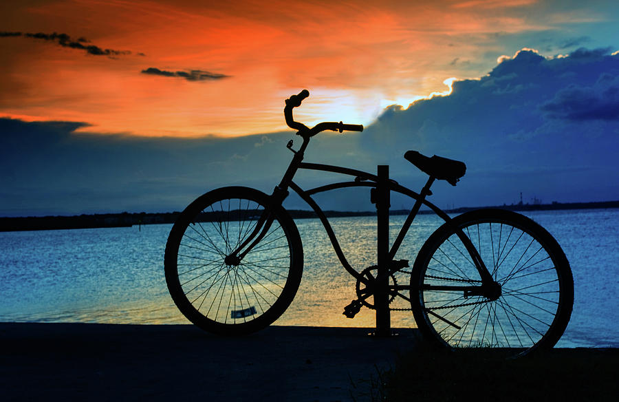 The Bike by Anna Yanev The Bike by Anna Yanev