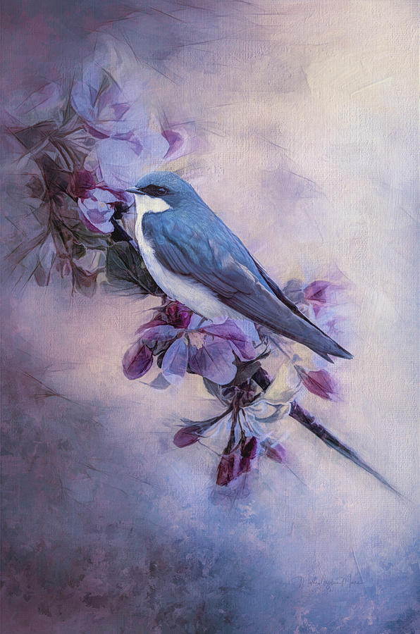 The Blue Bird Song Photograph by Maria Angelica Maira