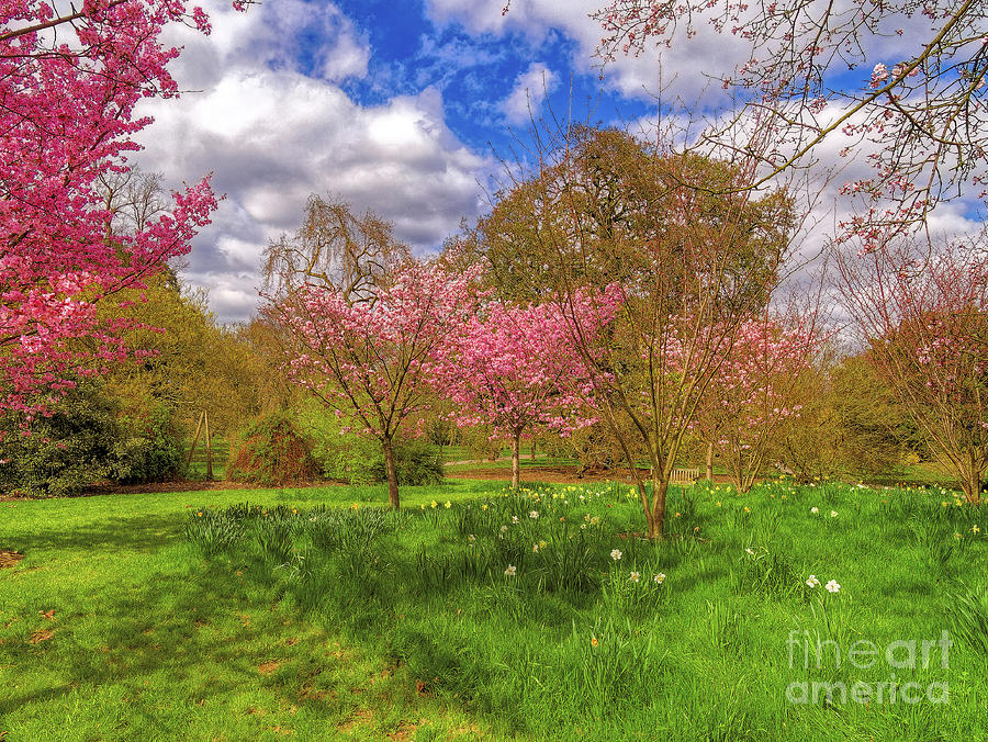The colours of Spring by Leigh Kemp The colours of Spring by Leigh Kemp
