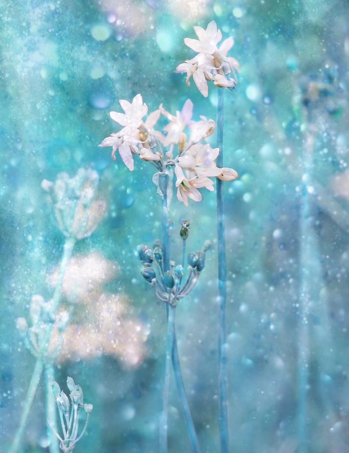 Flower Photograph - The Complex Magic Of Nature #1 by Delphine Devos