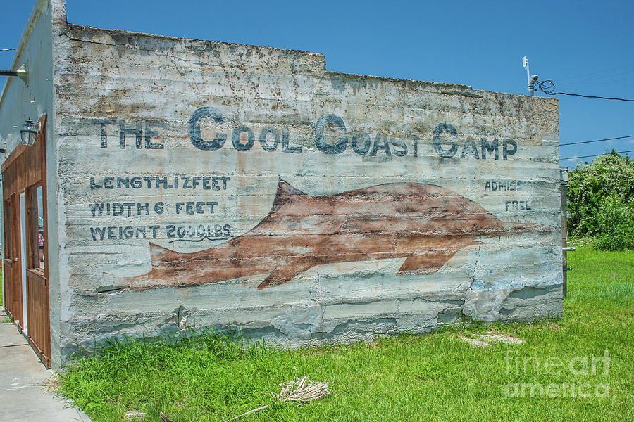 The Cool Coast camp by Tony Baca The Cool Coast camp by Tony Baca