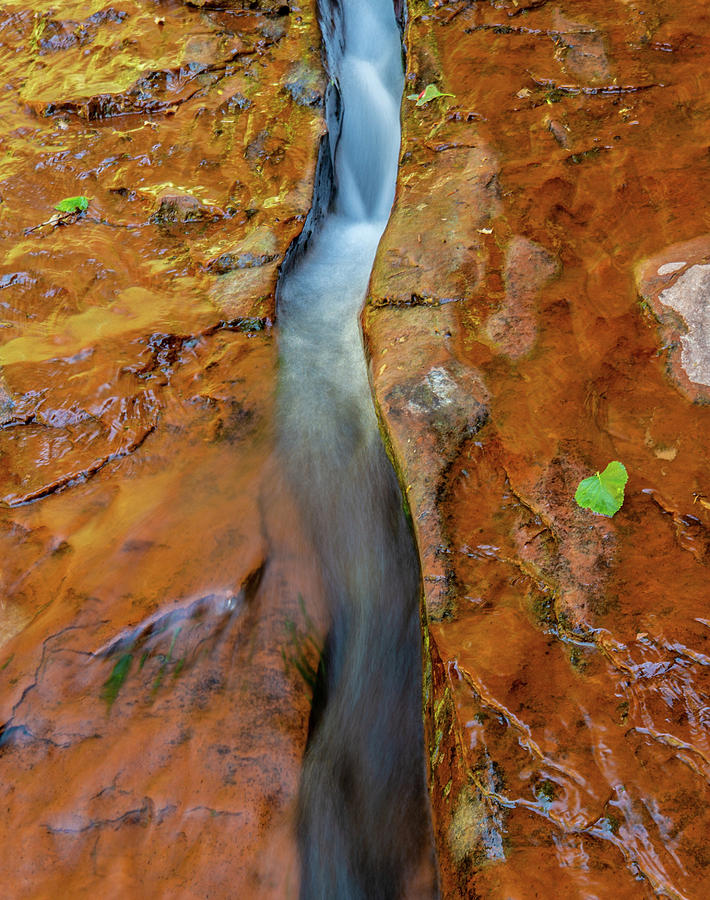 The Crack Photograph by Mary Giordano - Fine Art America