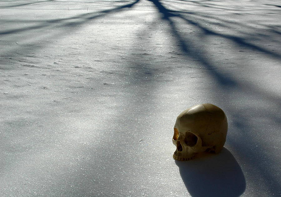 The Dead of Winter #1 Photograph by Rein Nomm