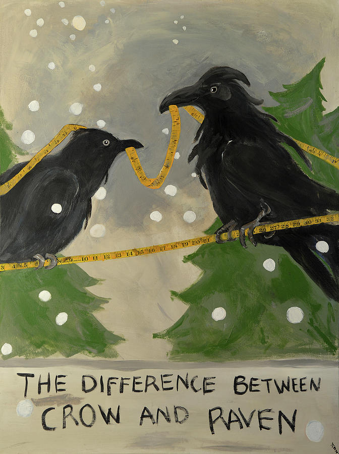 Bird Painting - The Difference Between Crow And Raven #1 by Jennie Cooley
