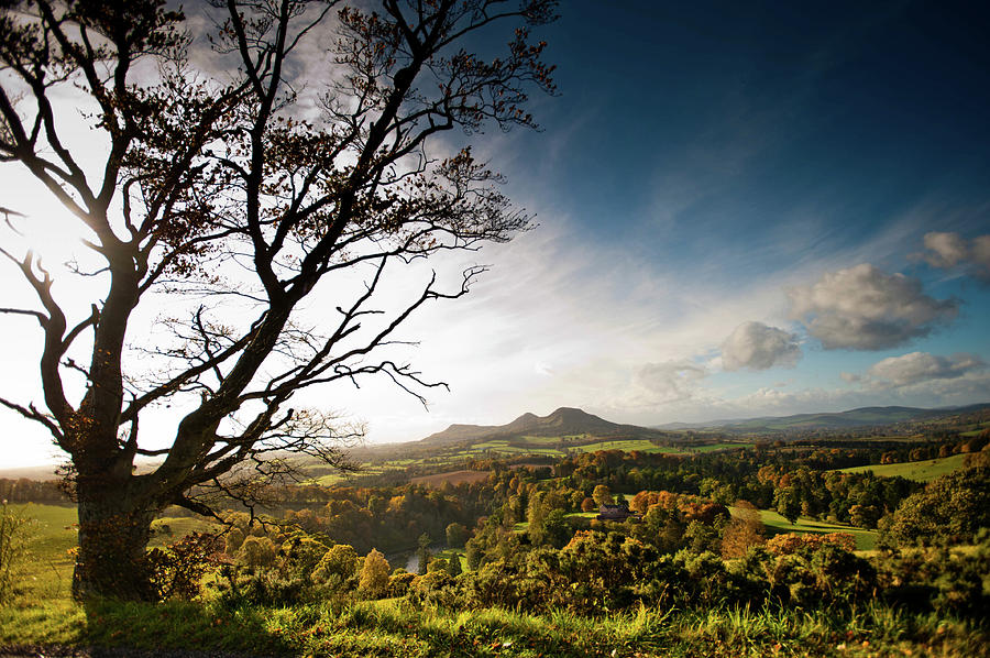 The Eildons From Scotts View, Scottish #1 Photograph by Iain Maclean