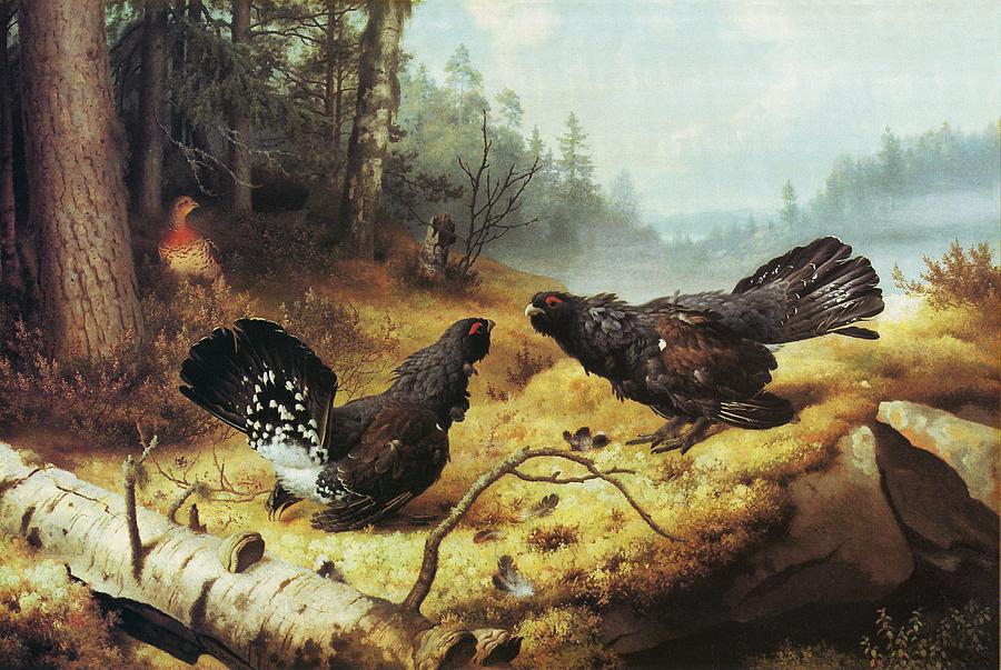 The Fighting Capercaillies #1 Painting by Ferdinand von Wright
