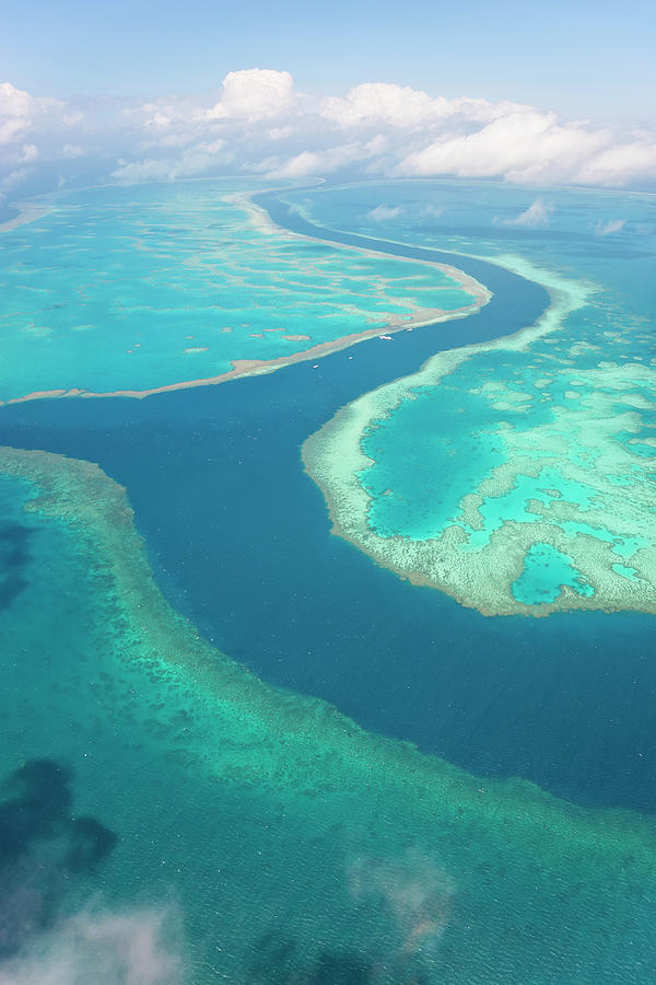 The Great Barrier Reef, Queensland #1 Photograph by Peter Adams