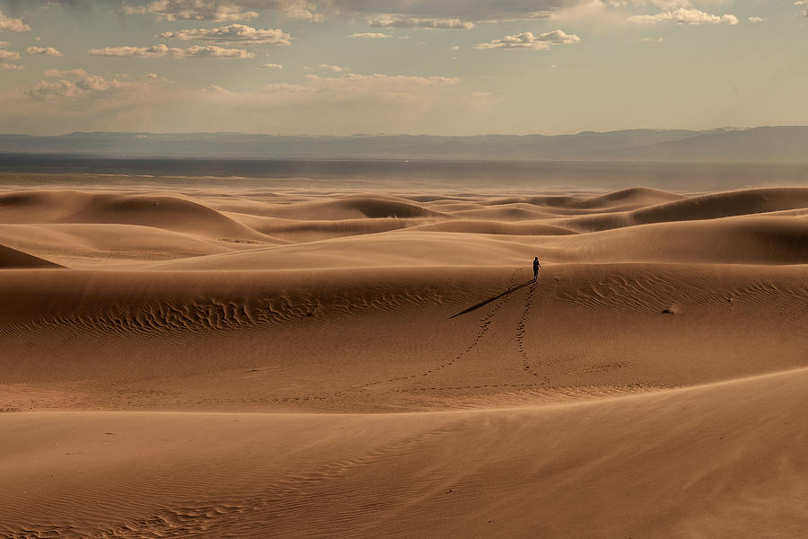 Landscape Photograph - The Great Sand Dunes #1 by Q Liu