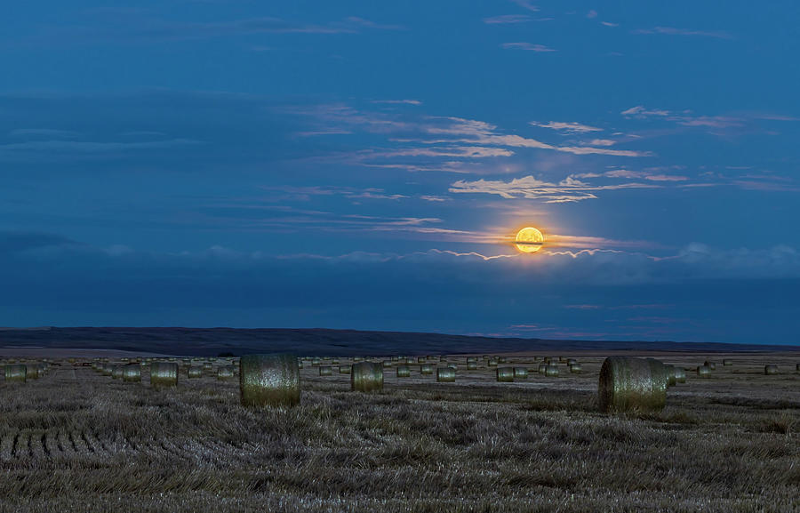The Harvest Moon Above A Field Of Hay #1 Photograph by Alan Dyer