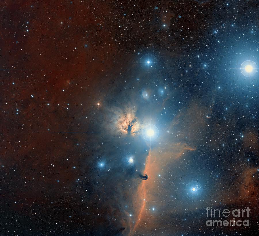 Space Photograph - The Horse Head And Flame Nebulae In Orion #1 by Davide De Martin/science Photo Library