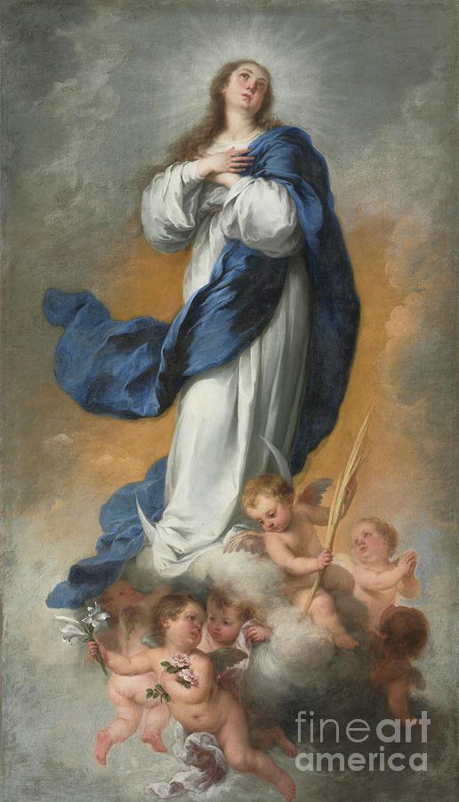 The Immaculate Conception Drawing by Heritage Images Fine Art America