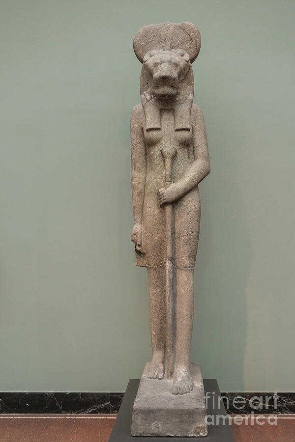 The Lion Goddess Sekhmet. Photograph by Patricia Hofmeester