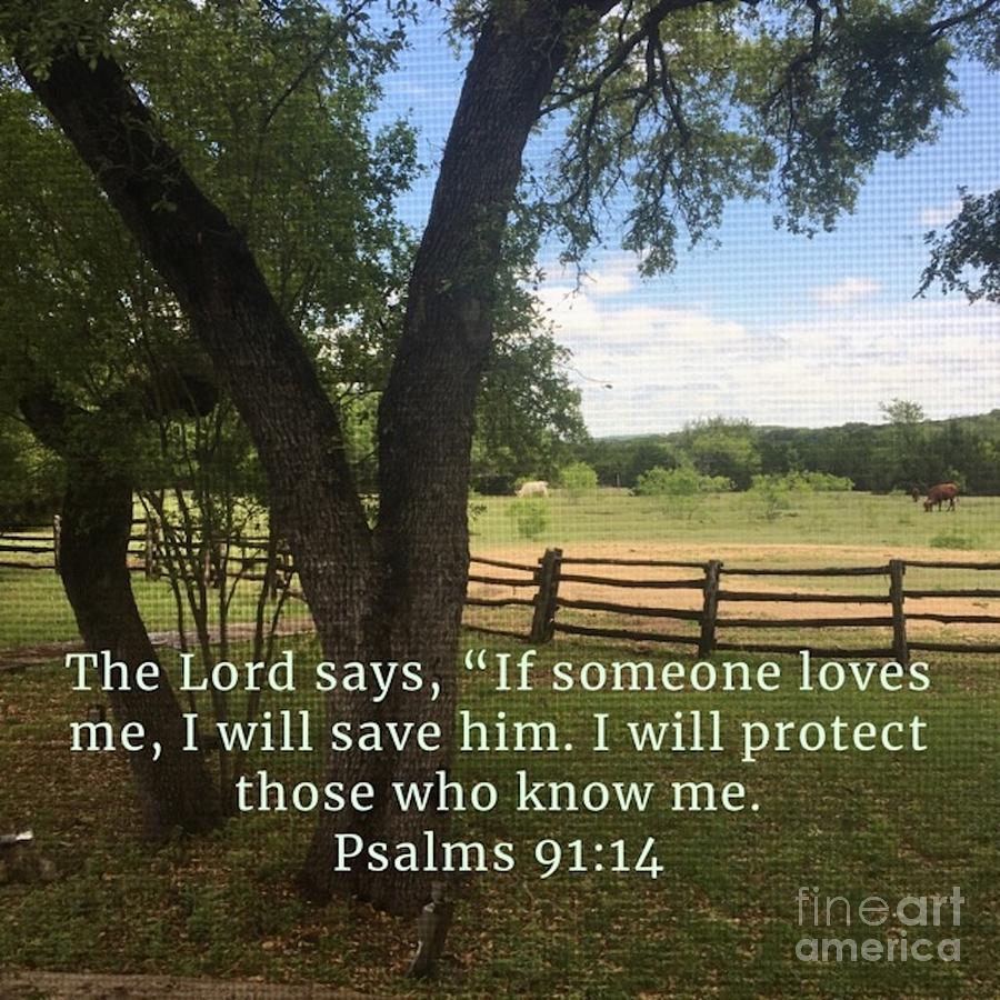 The Lord will protect me.   #1 Photograph by Christine Tyler