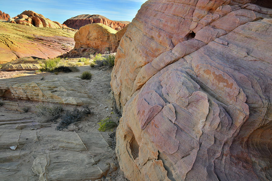 The Many Colors of Valley of Fire State Park #1 Photograph by Ray Mathis