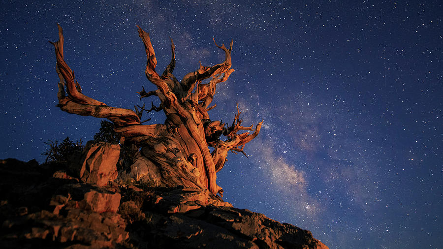 The Milky Way Above An Ancient #1 Photograph by Jeff Dai
