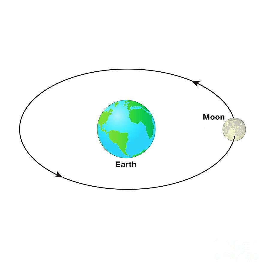 The Moon Orbiting Earth #1 by Science Photo Library