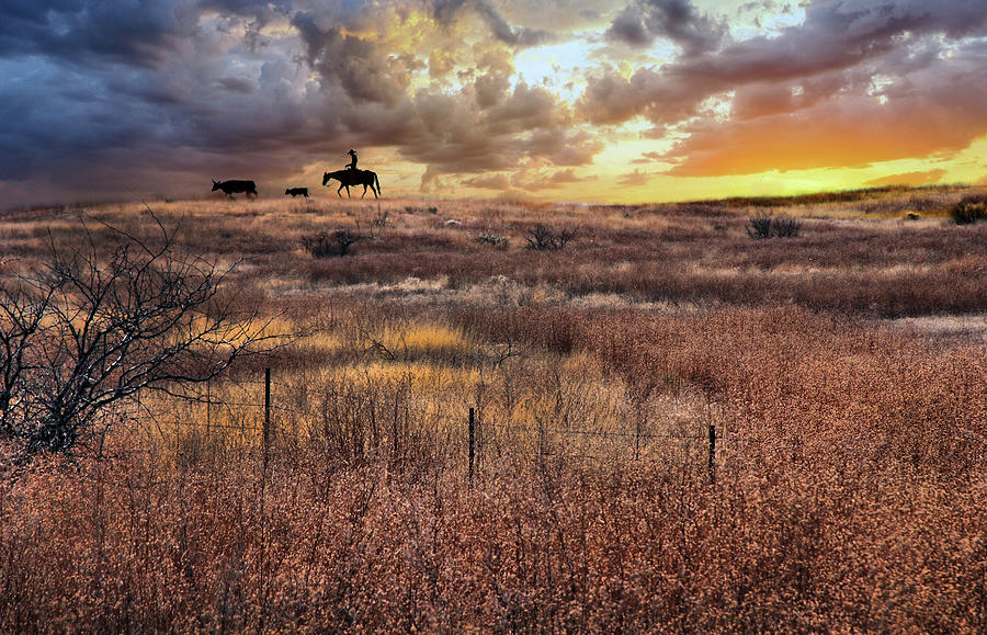 The Old West #2 Photograph by Barbara Manis