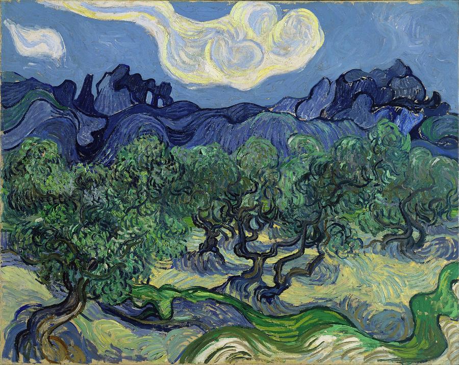 The Olive Trees Painting by Vincent Van Gogh