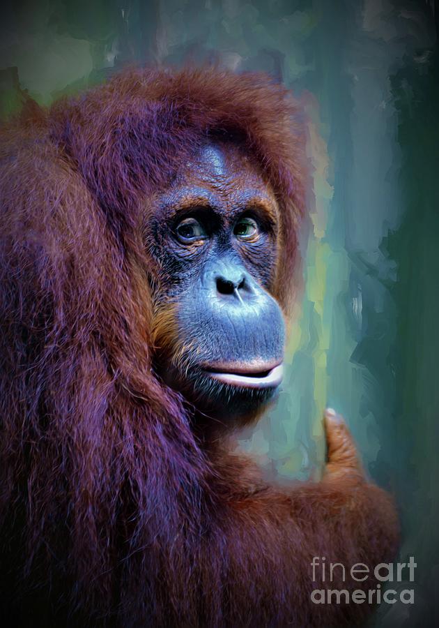 The Orangutan  #4 Digital Art by Savannah Gibbs
