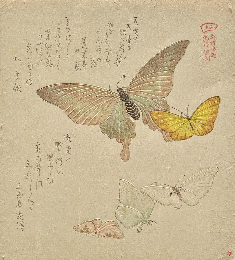 The Painting Manual Of Flock Of Butterflies Painting by Kubo Shunman