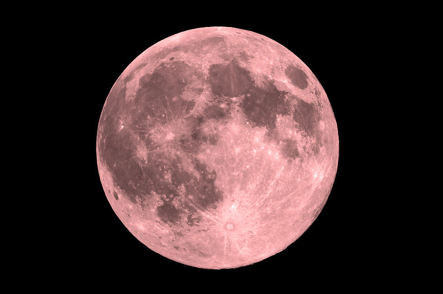 The Pink Full Moon Photograph by John Chumack Pixels