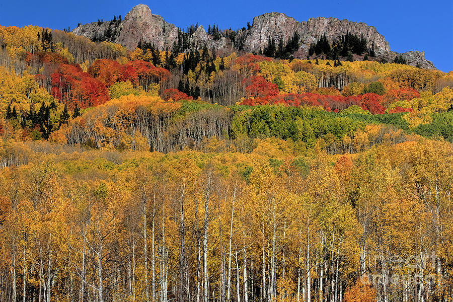The Pinnacle by Jim Garrison The Pinnacle by Jim Garrison