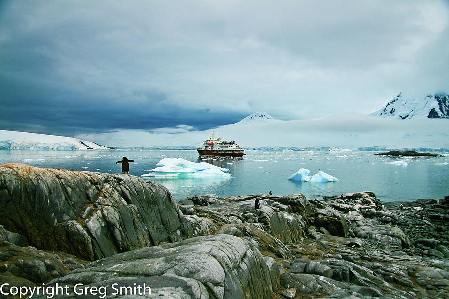 The Polar Star Port Lockroy Antarctica #1 Photograph by Greg Smith