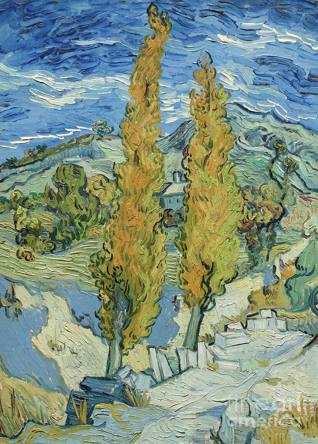 The Poplars at Saint Remy, 1889  Painting by Vincent Van Gogh