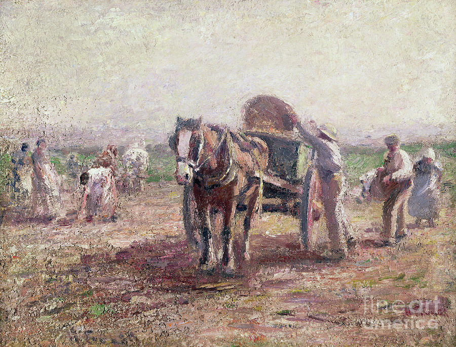 The Potato Pickers Painting by Harry Fidler