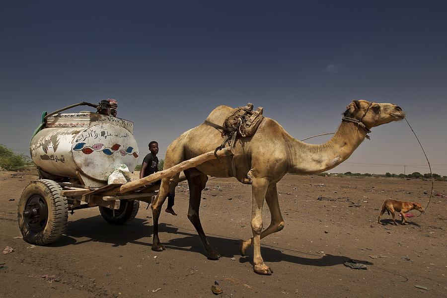 The Republic Of Yemen #1 Photograph by Brent Stirton