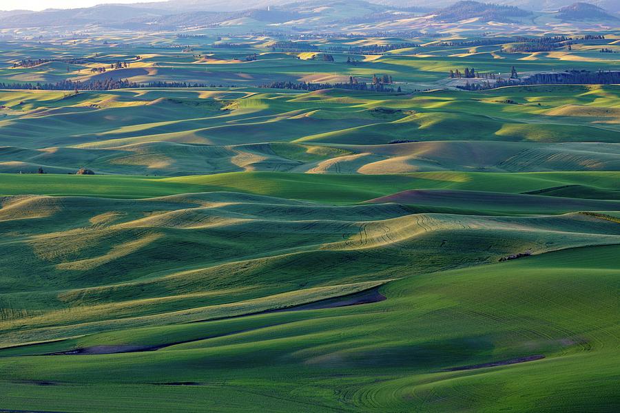The rolling hills of the Palouse Photograph by Frank Shoemaker | Fine ...