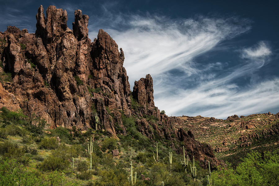 The Sentinels Of The Superstitions  #1 Photograph by Saija Lehtonen