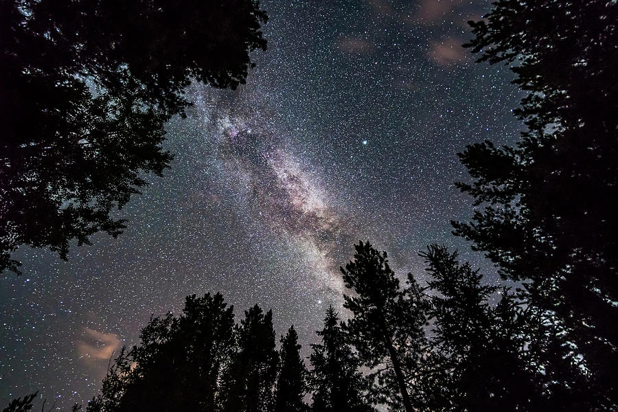 The Summer Milky Way Looking #1 Photograph by Alan Dyer