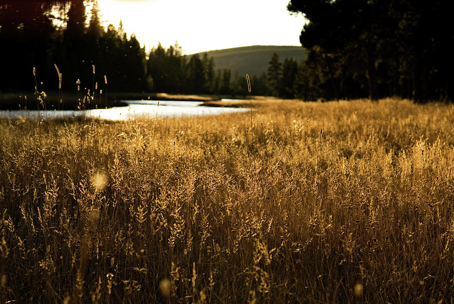 The Sunset Lights Up A Field And River #1 Photograph by Keri Oberly