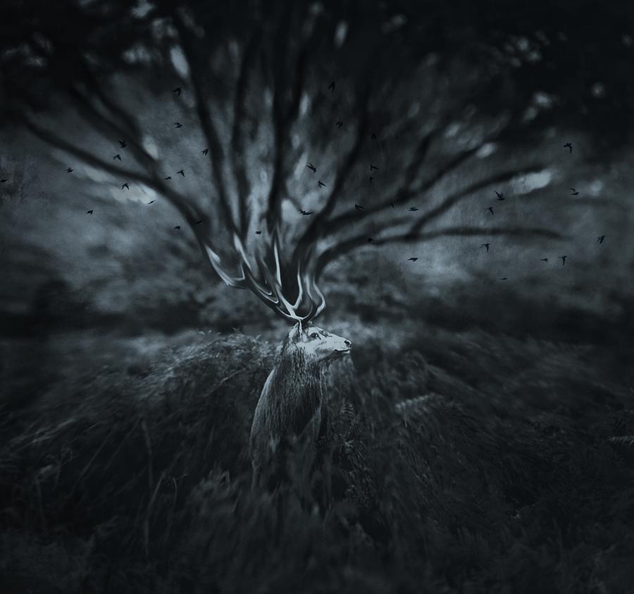 The Tree Of Life #1 Photograph by Robert Fabrowski