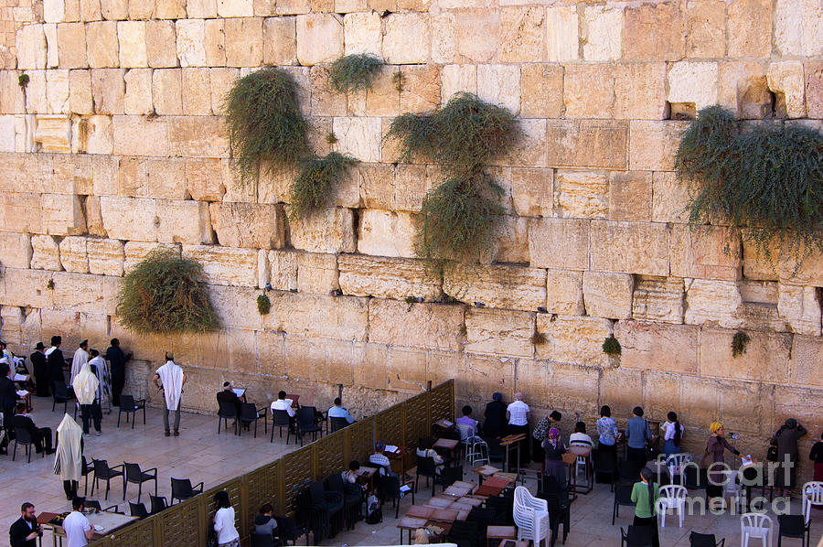 Brick Photograph - The Western Wall #1 by Mark Williamson/science Photo Library