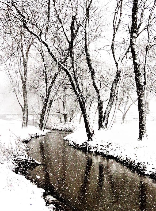 The Winter Stream  #2 Photograph by Lori Frisch